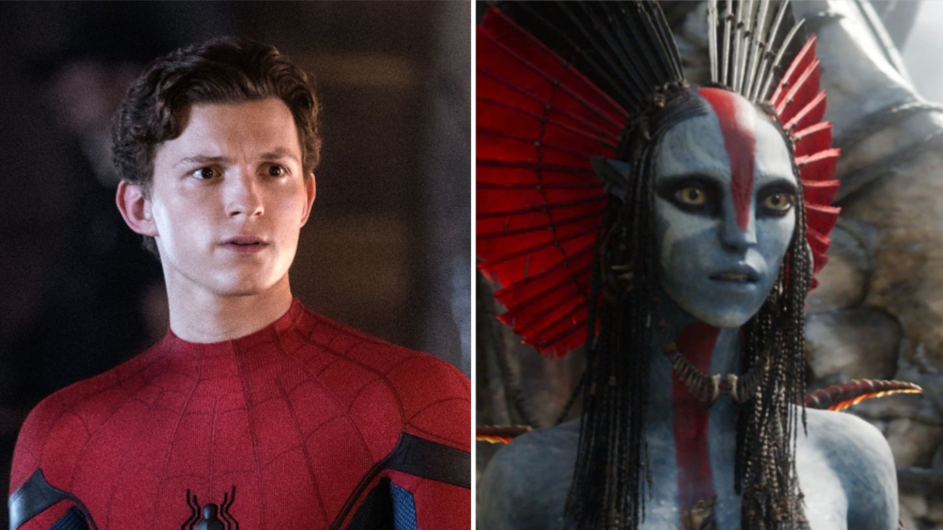 «Spider-Man» (l.) und «Avatar» sind Garanten für klingelnde Kinokassen.