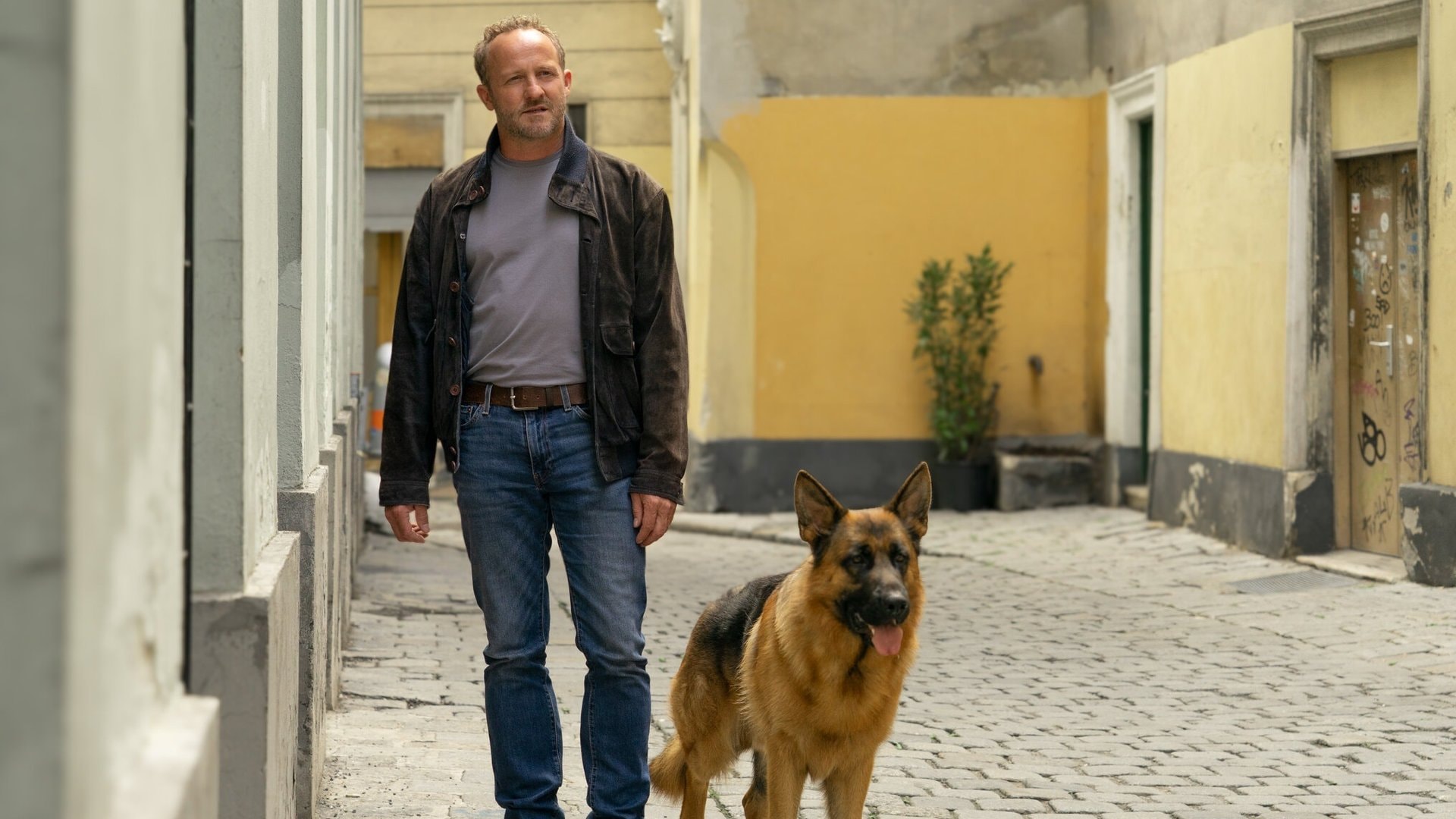 Maximilian Brückner und Kommissar Rex ermitteln weiter.