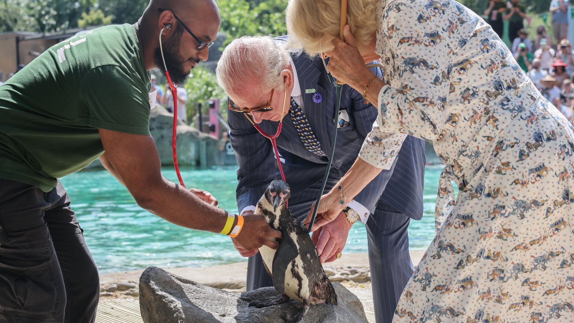 König Charles und Königin Camilla im Londoner Zoo.