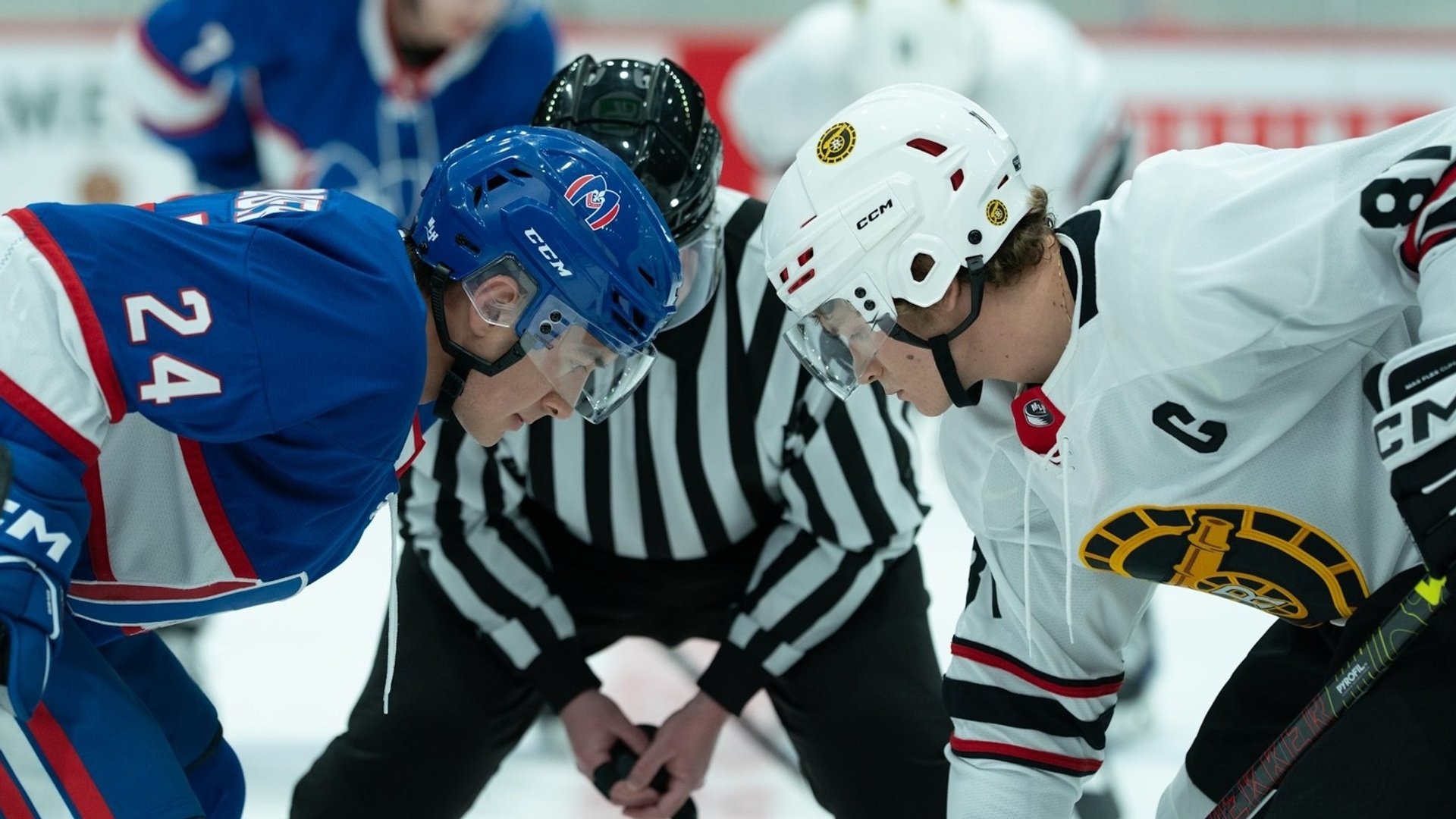Die erste Staffel von «Heated Rivalry» wurde zum Erfolg. Aktuell wird Season zwei gedreht.