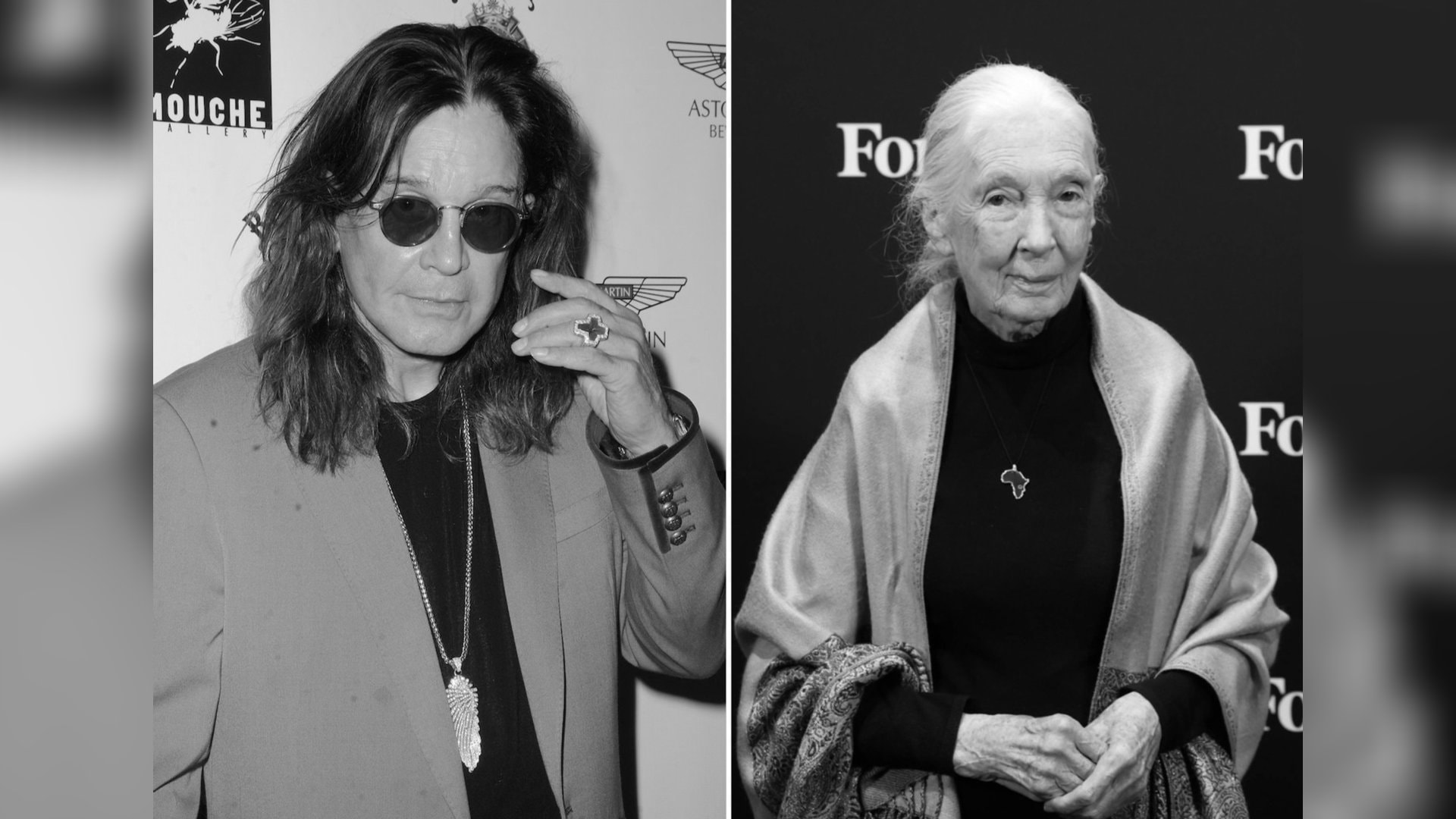 Ozzy Osbourne verstarb im Juli im Alter von 76 Jahren, Jane Goodall wurde 91 Jahre alt. Auch von diesen Stars mussten sich die Fans 2025 verabschieden: