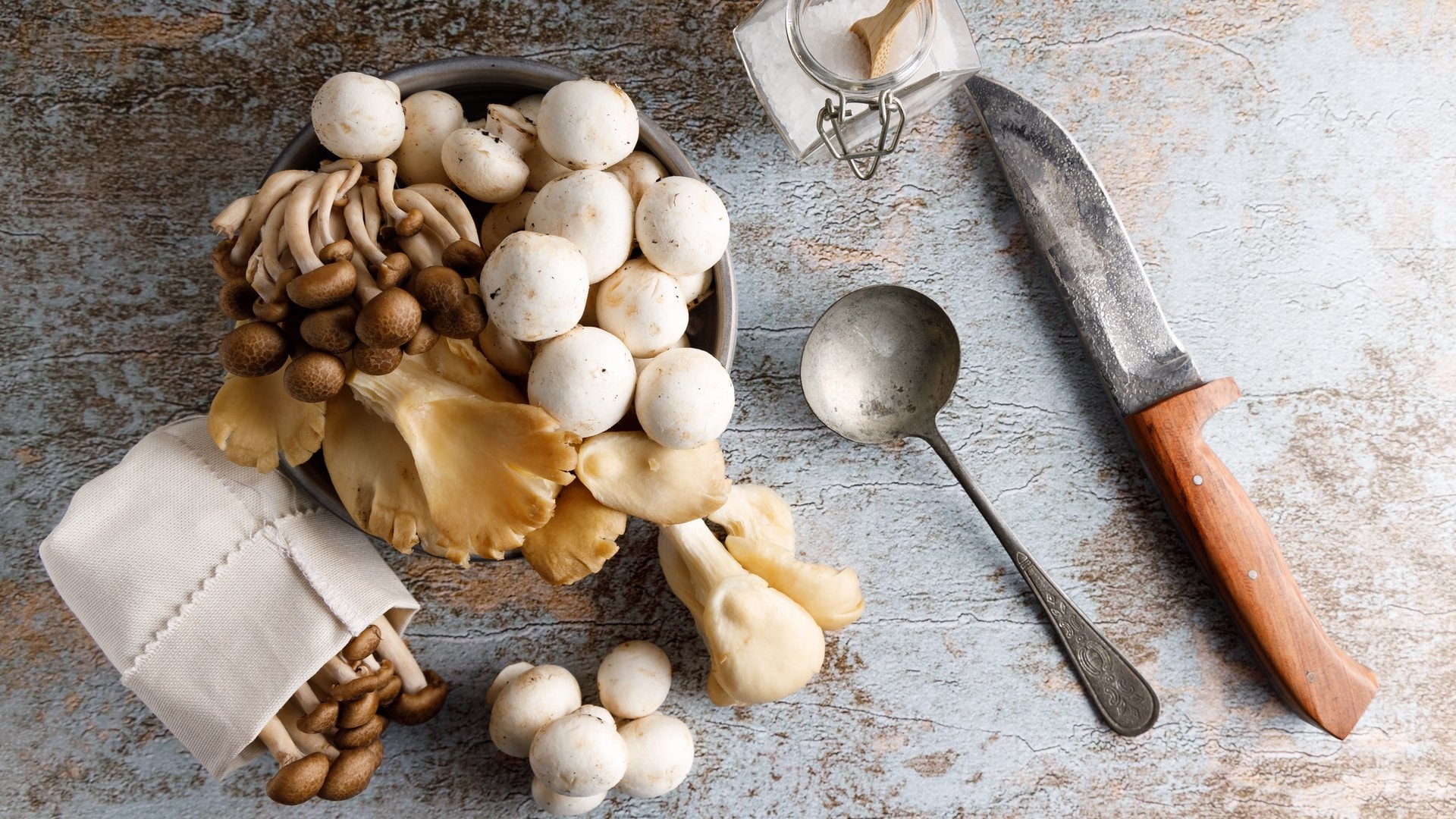 Les champignons étonnent par leur polyvalence.