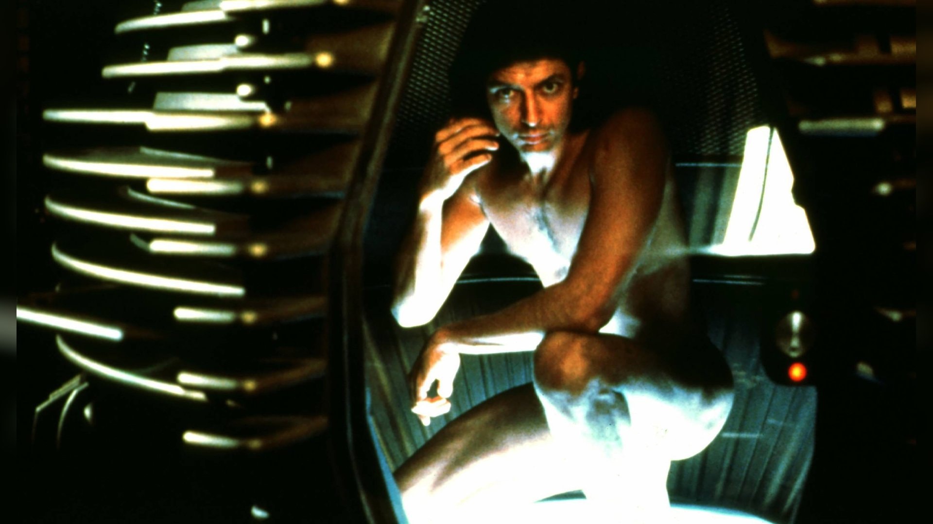 Jeff Goldblum als Wissenschaftler Seth Brundle in «Die Fliege».